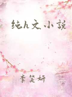 纯h文小说