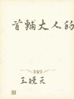 首辅大人的套路