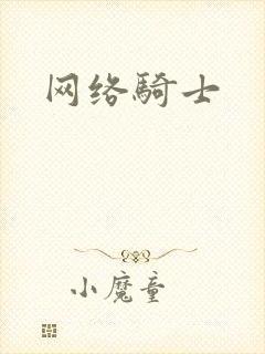 网络骑士