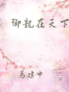 御龙在天下载