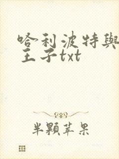 哈利波特与混血王子txt