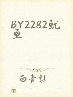 BY2282鱿鱼