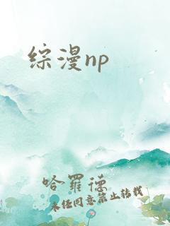 综漫np