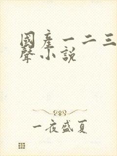 国产一二三区有声小说