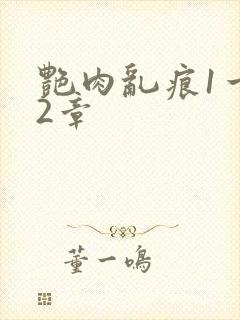 艳肉乱痕1一12章