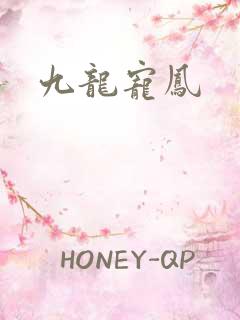 九龙宠凤