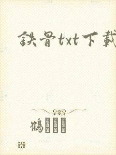 铁骨txt下载