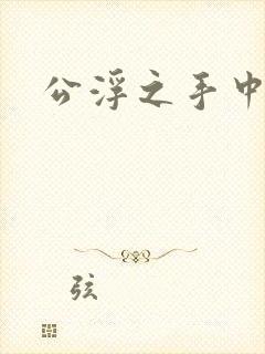 公浮之手中字5