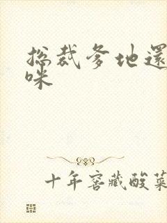 总裁爹地还我妈咪