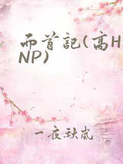 面首记(高H NP)
