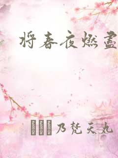 将春夜燃尽