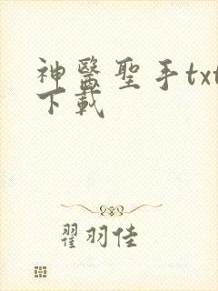 神医圣手txt下载