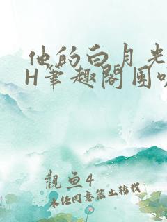 他的白月光HvH笔趣阁团叽叽