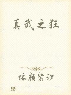 真武之狂