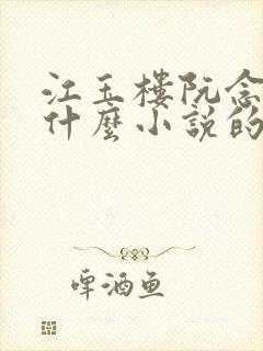 江玉楼阮念笙是什么小说的名字