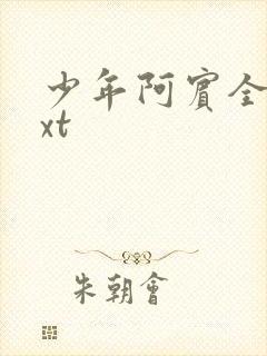 少年阿宾全集txt