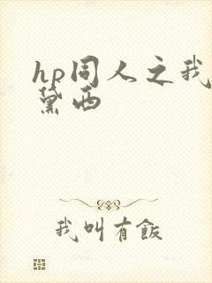hp同人之我叫黛西