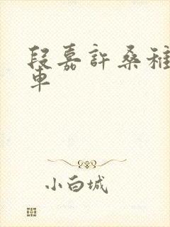 段嘉许桑稚浴室车