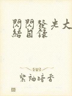 闪闪发光大团圆结目录