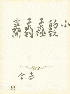 宁柔柔的小泬撑开到极致