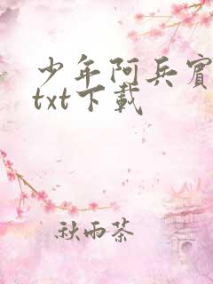 少年阿兵宾小说txt下载
