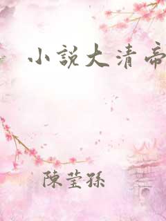小说大清帝国