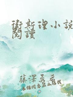 卫斯理小说在线阅读