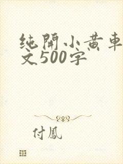 纯开小黄车小短文500字