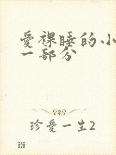 爱裸睡的小丹第一部分