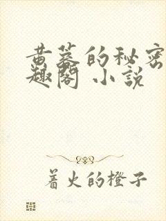 黄蓉的秘密 笔趣阁 小说