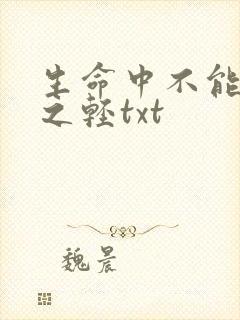 生命中不能承受之轻txt