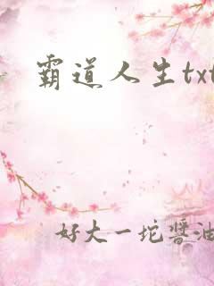 霸道人生txt