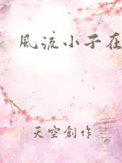 风流小子在异世