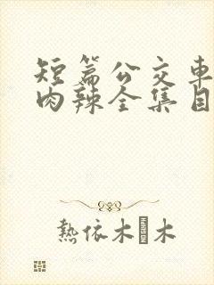 短篇公交车高h肉辣全集目录