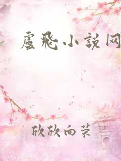 卢飞小说网