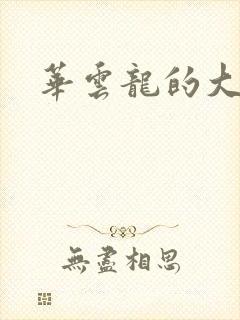 华云龙的大宝贝