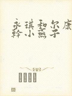 永琪和尔康一起干小燕子