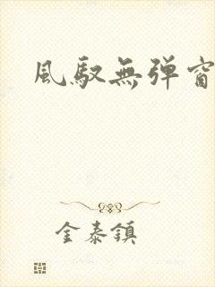 风驭无弹窗