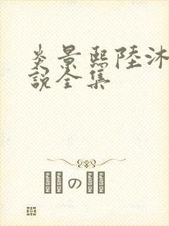 炎景熙陆沐擎小说全集