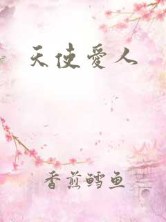 天使爱人