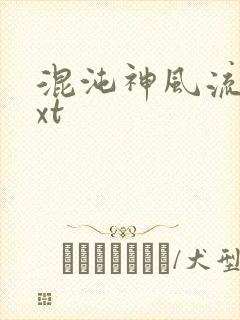 混沌神风流史txt