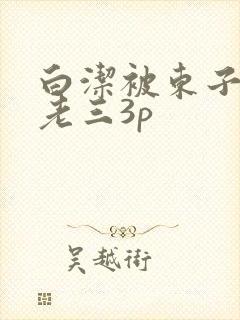 白洁被东子老二老三3p