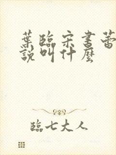 叶临宋书蕾的小说叫什么