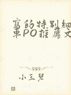 写的特别细的开车PO推荐文多人