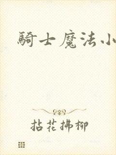 骑士魔法小说