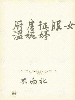 厨房征服女市长温婉婷