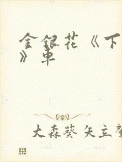 金银花《下厨房》车