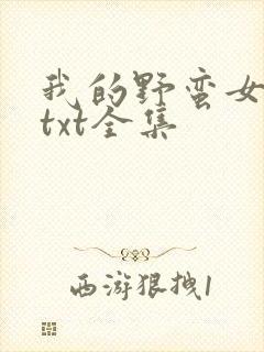 我的野蛮女上司txt全集