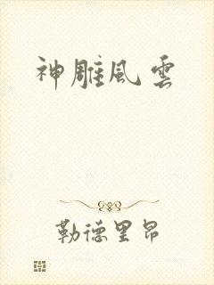 神雕风云