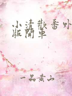 小清欢番外完整版开车